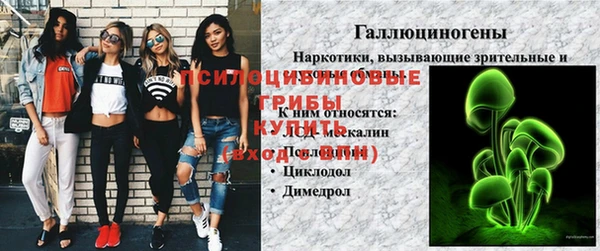 PSILOCYBIN Волоколамск
