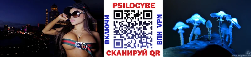 где купить   kraken зеркало  Псилоцибиновые грибы MAGIC MUSHROOMS  Ярославль 